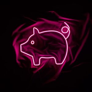 Neon świnka